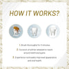 Coconut Oil Whitening Toothpaste Image